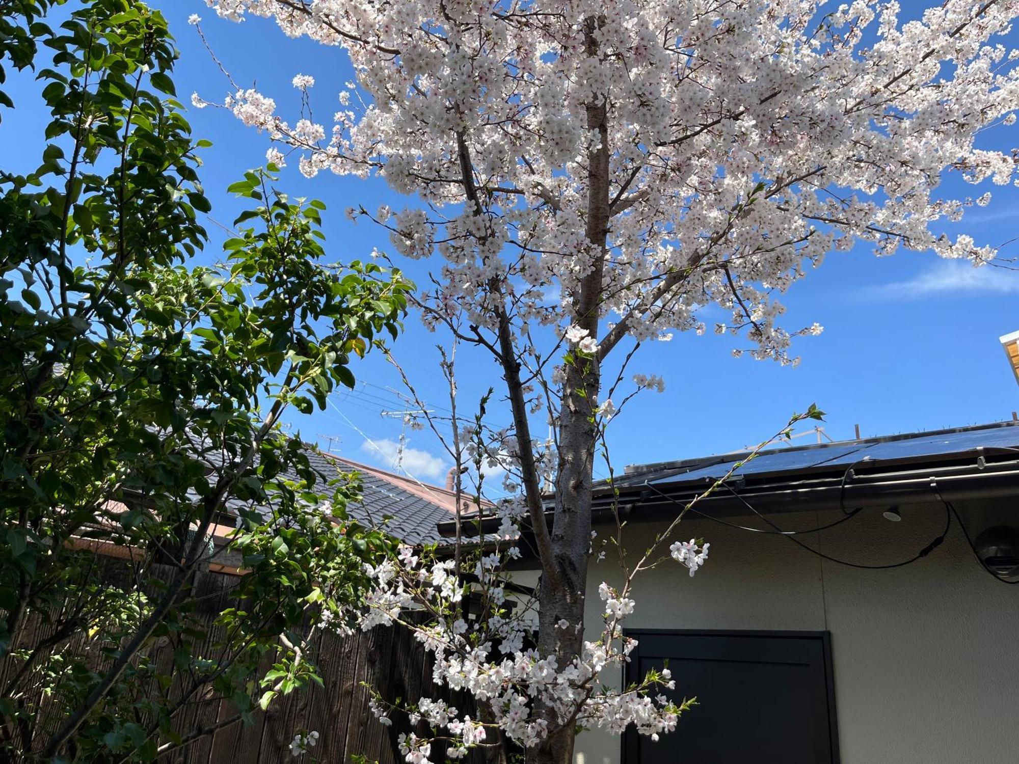Nishijin No Sato 西陣之郷 -100 Yrs Smart & Sustainable Ai Arthouse With 10Gbps Wifi - Villa Kyoto Buitenkant foto
