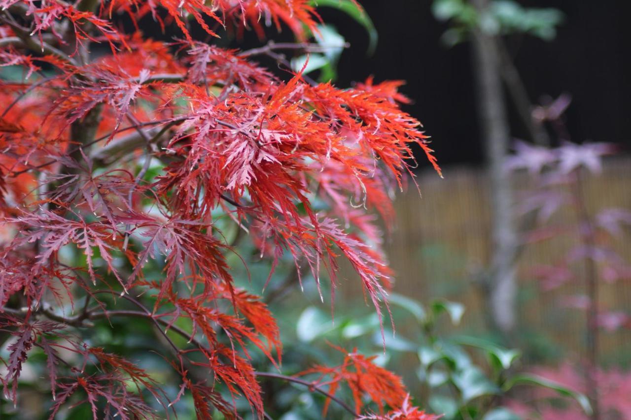 Nishijin No Sato 西陣之郷 -100 Yrs Smart & Sustainable Ai Arthouse With 10Gbps Wifi - Villa Kyoto Buitenkant foto